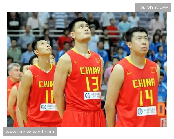 马布里与姚明现状对比分析及其对中国篮球发展的影响