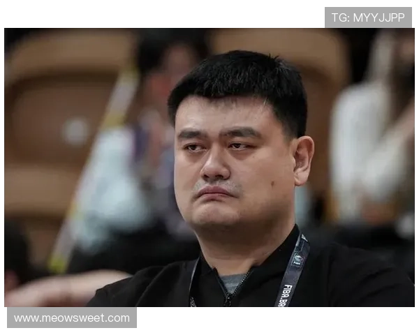 马布里与姚明现状对比分析及其对中国篮球发展的影响