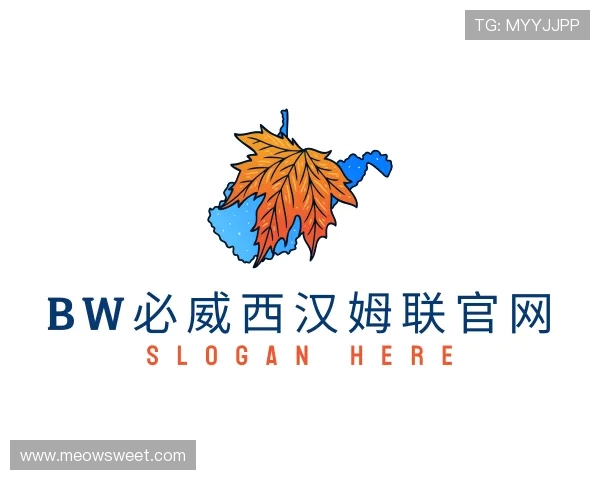 了解bw必威西汉姆